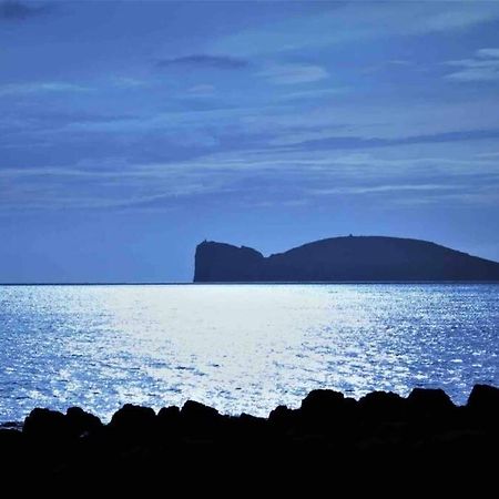 Alghero Sun & Sea - Spiaggia A 50 Metri Kültér fotó